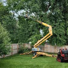 Best Tree and Shrub Care  in Crestwood, KY